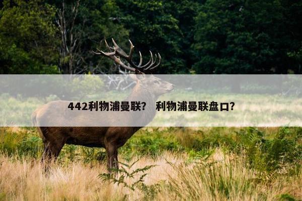 442利物浦曼联？ 利物浦曼联盘口？