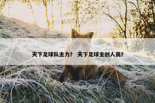 天下足球队主力？ 天下足球主创人员？
