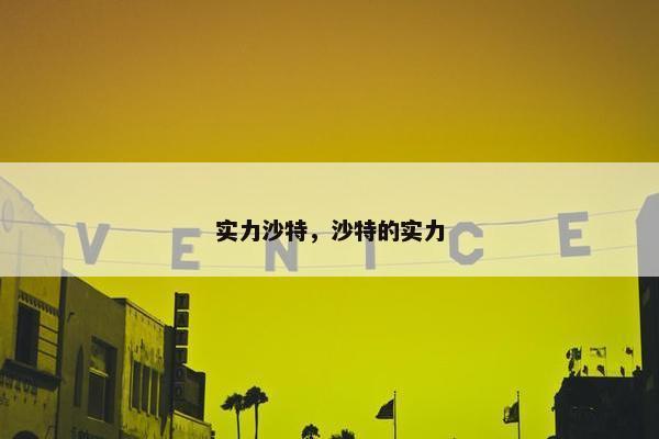 实力沙特,沙特的实力 实力沙特,沙特的实力