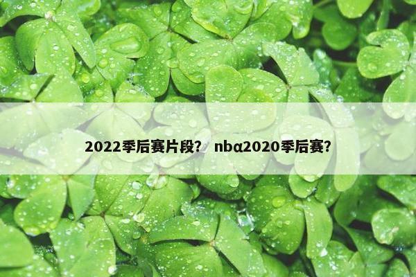 2022季后赛片段？ nbα2020季后赛？