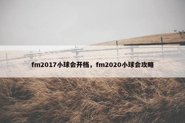 fm2017小球会开档，fm2020小球会攻略