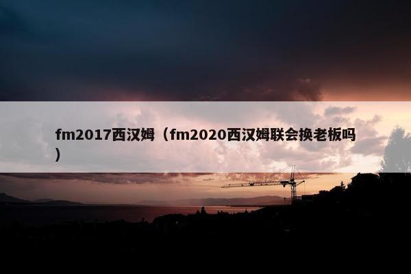 fm2017西汉姆（fm2020西汉姆联会换老板吗）