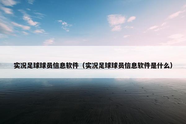 实况足球球员信息软件（实况足球球员信息软件是什么）
