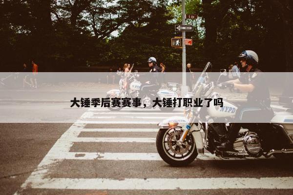 大锤季后赛赛事，大锤打职业了吗