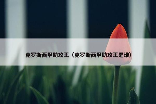 克罗斯西甲助攻王（克罗斯西甲助攻王是谁）