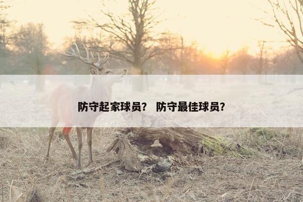 防守起家球员？ 防守最佳球员？