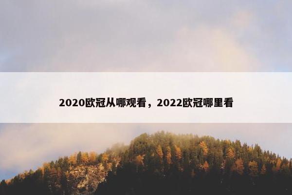 2020欧冠从哪观看，2022欧冠哪里看