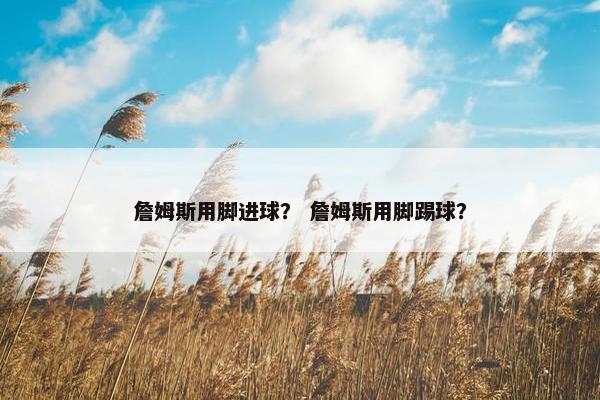 詹姆斯用脚进球？ 詹姆斯用脚踢球？