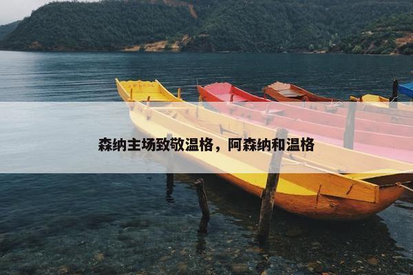 森纳主场致敬温格，阿森纳和温格