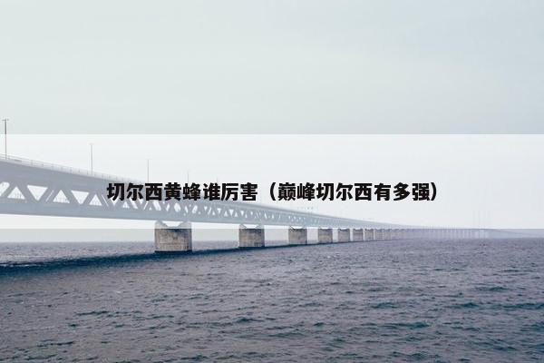 切尔西黄蜂谁厉害(巅峰切尔西有多强) 切尔西黄蜂谁厉害(巅峰切尔西有多强)