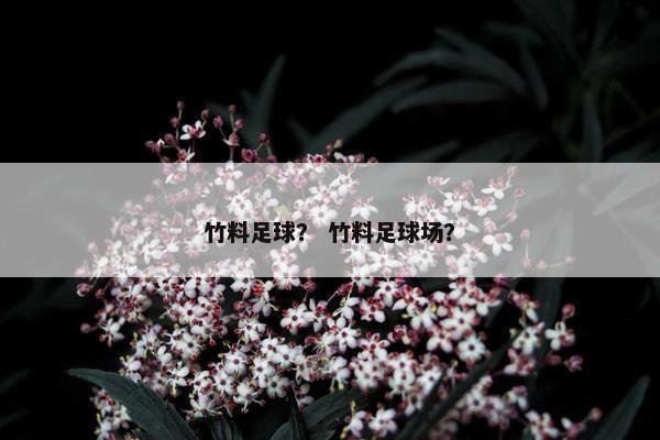 竹料足球? 竹料足球场? 竹料足球? 竹料足球场?