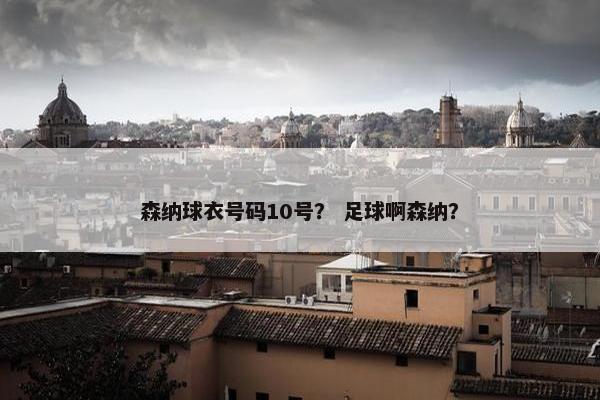 森纳球衣号码10号？ 足球啊森纳？