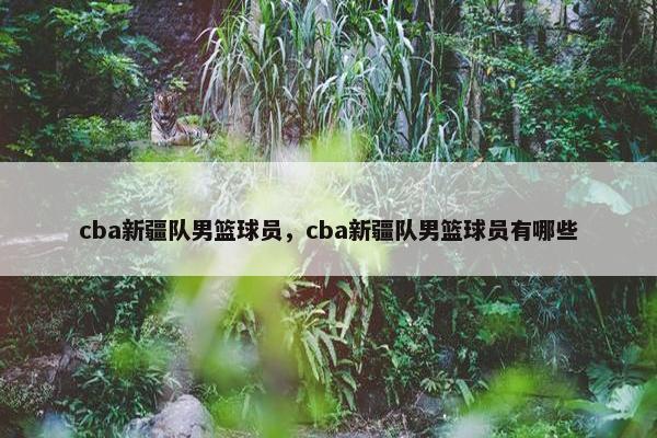 cba新疆队男篮球员，cba新疆队男篮球员有哪些