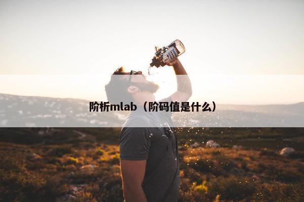阶析mlab（阶码值是什么）
