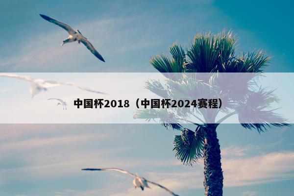 中国杯2018（中国杯2024赛程）