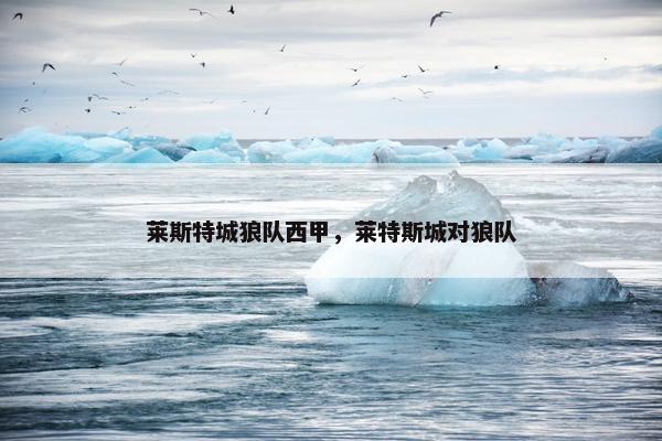 莱斯特城狼队西甲,莱特斯城对狼队 莱斯特城狼队西甲,莱特斯城对狼队