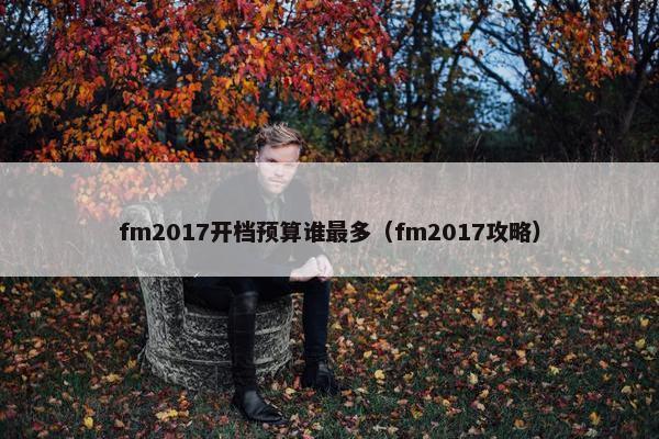 fm2017开档预算谁最多（fm2017攻略）