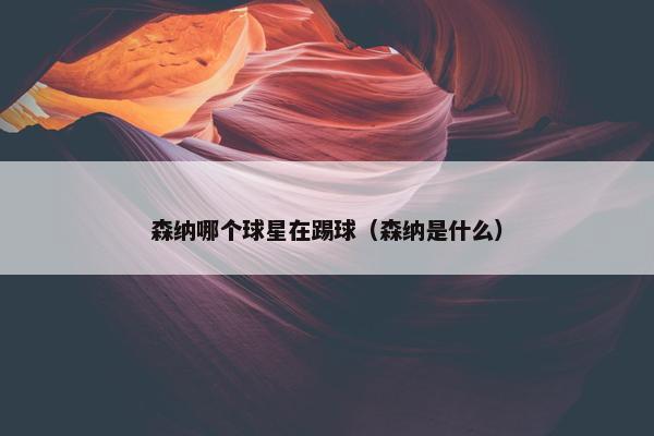 森纳哪个球星在踢球（森纳是什么）