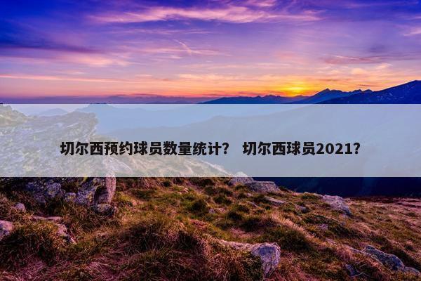 切尔西预约球员数量统计？ 切尔西球员2021？