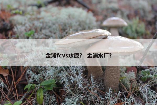 金浦fcvs水原？ 金浦水厂？