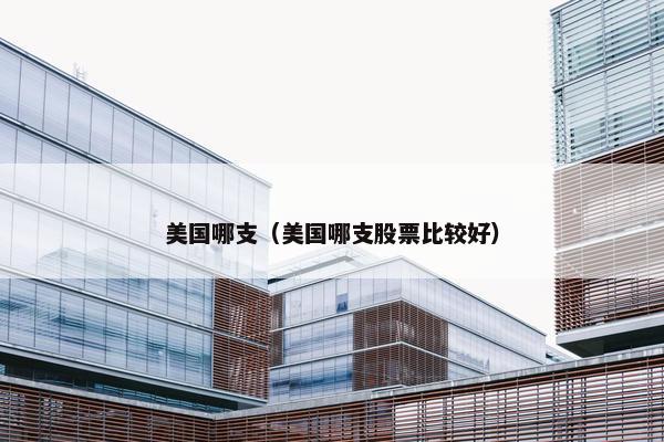 美国哪支（美国哪支股票比较好）