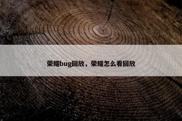 荣耀bug回放，荣耀怎么看回放