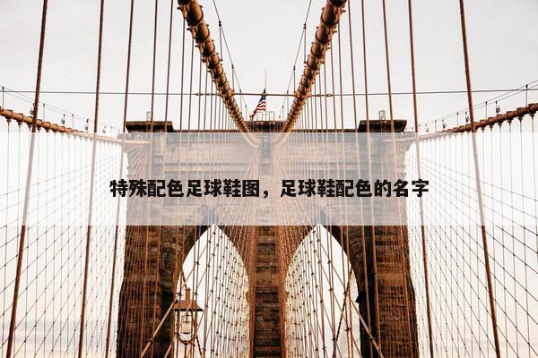 特殊配色足球鞋图，足球鞋配色的名字