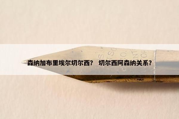 森纳加布里埃尔切尔西? 切尔西阿森纳关系? 森纳加布里埃尔切尔西? 切尔西阿森纳关系?