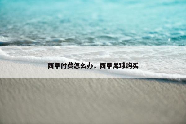 西甲付费怎么办，西甲足球购买