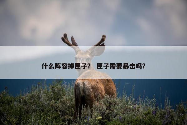 什么阵容掉匣子？ 匣子需要暴击吗？