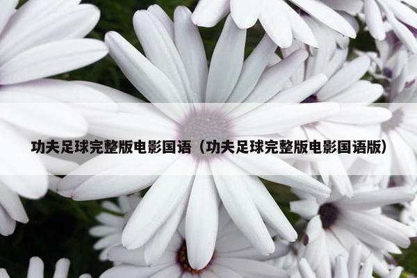 功夫足球完整版电影国语（功夫足球完整版电影国语版）