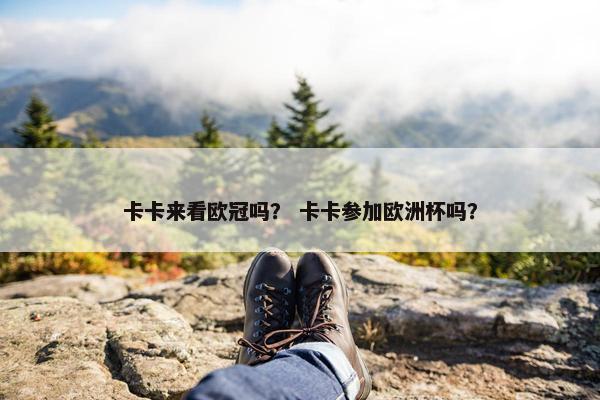 卡卡来看欧冠吗？ 卡卡参加欧洲杯吗？