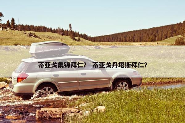 蒂亚戈集锦拜仁？ 蒂亚戈丹塔斯拜仁？