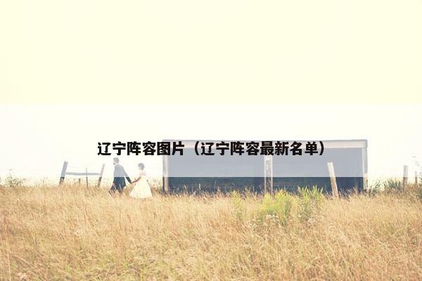 辽宁阵容图片（辽宁阵容最新名单）