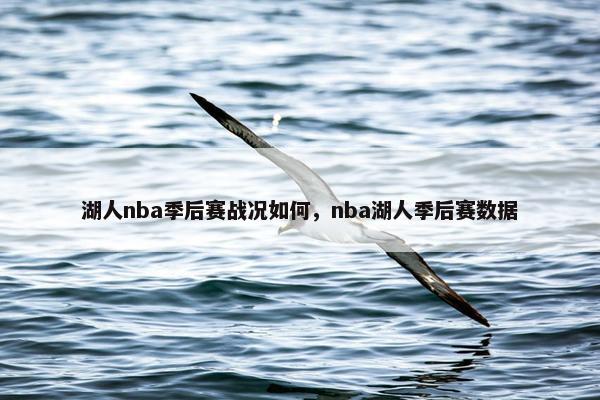 湖人nba季后赛战况如何，nba湖人季后赛数据