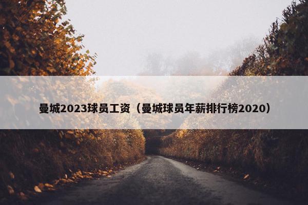 曼城2023球员工资（曼城球员年薪排行榜2020）
