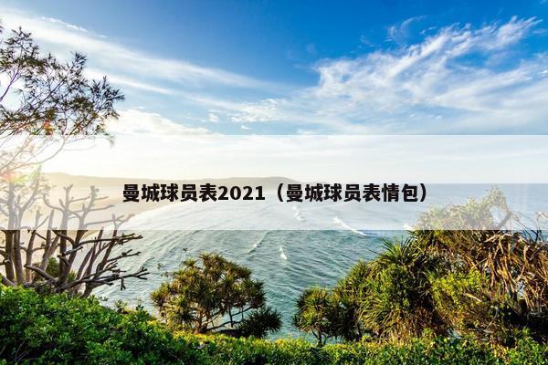 曼城球员表2021（曼城球员表情包）