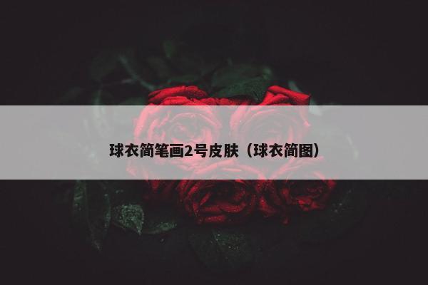 球衣简笔画2号皮肤（球衣简图）