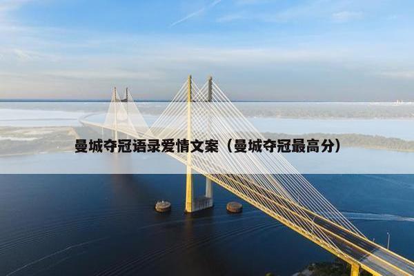 曼城夺冠语录爱情文案（曼城夺冠最高分）