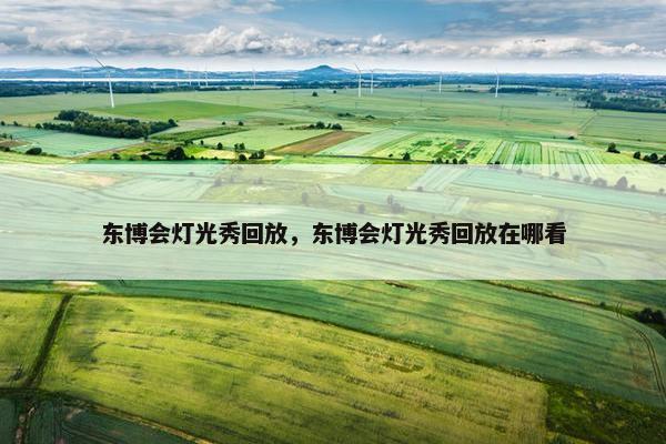 东博会灯光秀回放，东博会灯光秀回放在哪看