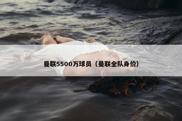 曼联5500万球员(曼联全队身价) 曼联5500万球员(曼联全队身价)