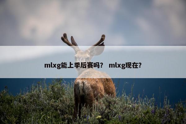 mlxg能上季后赛吗？ mlxg现在？