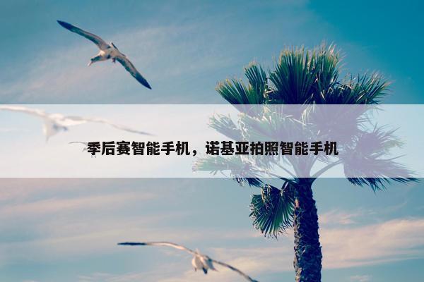 季后赛智能手机，诺基亚拍照智能手机
