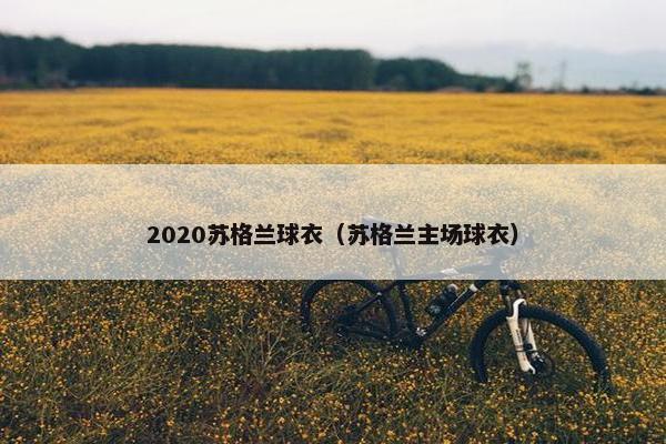 2020苏格兰球衣（苏格兰主场球衣）