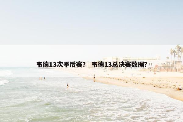 韦德13次季后赛？ 韦德13总决赛数据？