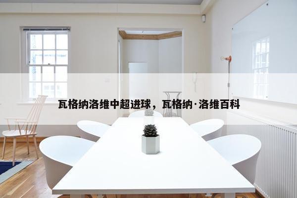 瓦格纳洛维中超进球，瓦格纳·洛维百科