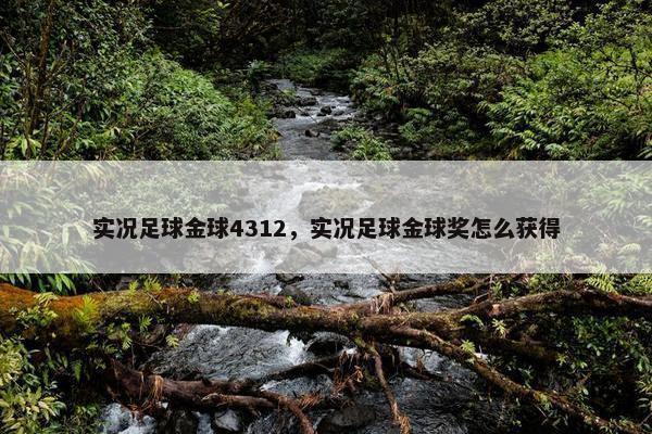 实况足球金球4312，实况足球金球奖怎么获得