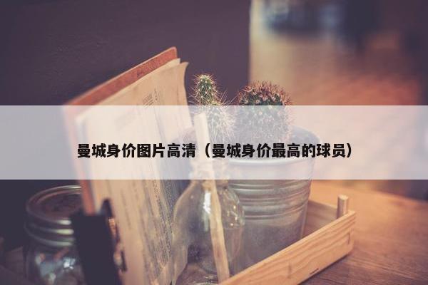 曼城身价图片高清（曼城身价最高的球员）
