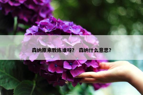 森纳原来教练谁呀？ 森纳什么意思？