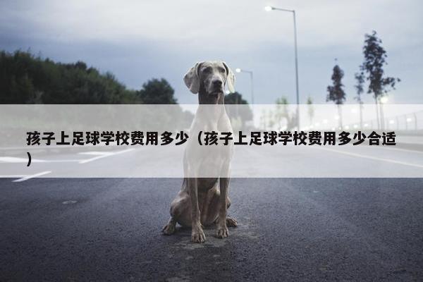 孩子上足球学校费用多少（孩子上足球学校费用多少合适）